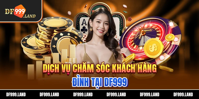 Dịch vụ chăm sóc khách hàng DF999 đỉnh cao