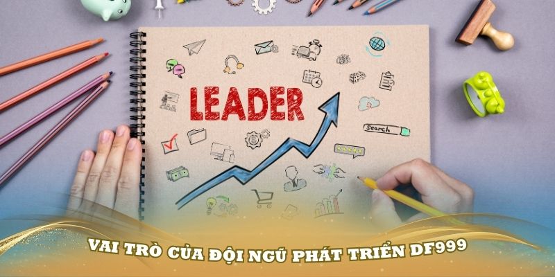 Vai trò của đội ngũ phát triển DF999 dưới sự lãnh đạo của CEO Hồ Bảo Minh