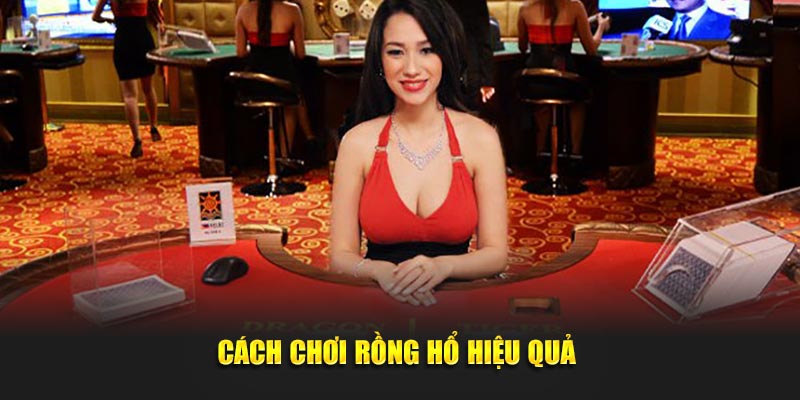 Cách chơi Rồng Hổ hiệu quả 